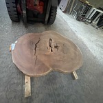 Guyana Teak houten schijf 1300mm